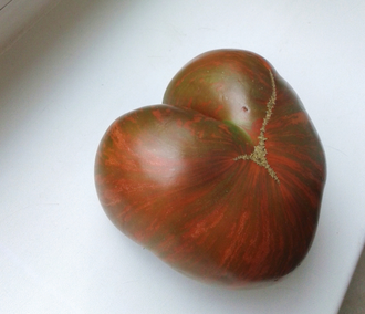 Семена томата Сердце Марши