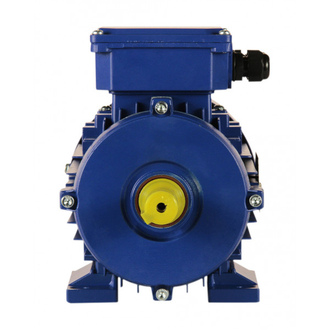 Электродвигатель 5АИ 71B8 (0,25 кВт) IM 1081