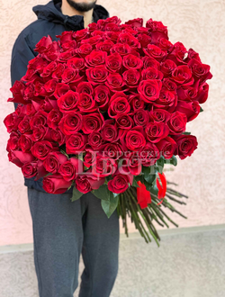 19 красных голландских роз