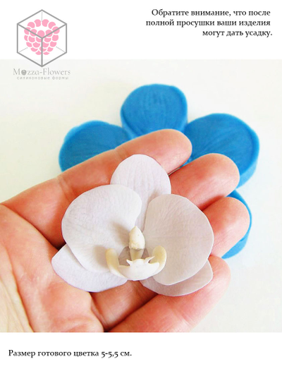 Набор вайнеров и каттеров "Орхидея Фаленопсис. Размер XS"