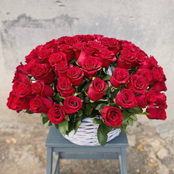 Корзина 101 роза премиум