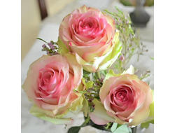 Дансинг Куин