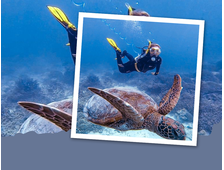 BOOTSTOUR "BUCHT MARSA MUBARAK" VON MARSA ALAM, MIT TAUCHEN