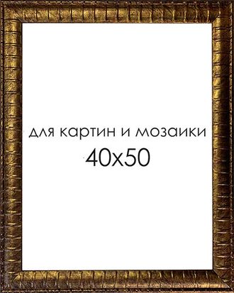 Рамка для картин и мозаики RJ4519-04(4050)