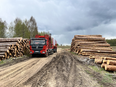 Пиловочник хвойный ель, сосна ГОСТ 9463-88, 18-60 см