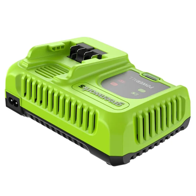 Зарядное устройство Greenworks G24C8
