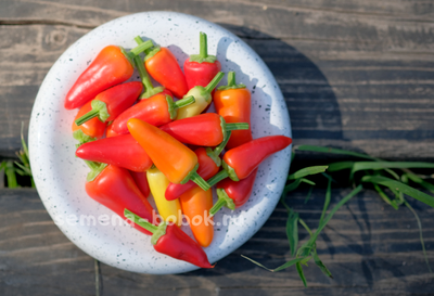 Перец сладкий Sweet Pickle (Свит Пикль), 10 шт