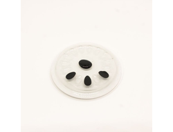 Лунка для клея (с белым основанием)