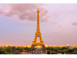 Французский язык