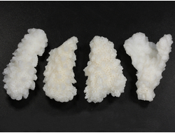 Коралл белый в ассортименте, коллекционный образец, Китай (34-38 мм, 6-7 г) №37626