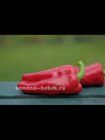 Перец сладкий Соседский (название условное), 10 шт