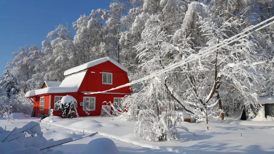 Московская область.
Супергрунт 100+ антисепт
Резиновая краска Супер Декор №11 Оранжевое лето