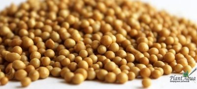 Удобрение Осмокот Блюм (12-7-18+МЭ) 2-3 мес. (100гр)