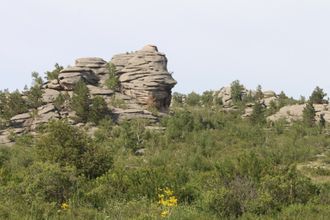 ЧУДЕСА АЛТАЙСКИХ МАСТЕРОВ (ГОРНАЯ  КОЛЫВАНЬ)