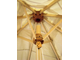 Зонт профессиональный телескопический Petrarca Wood