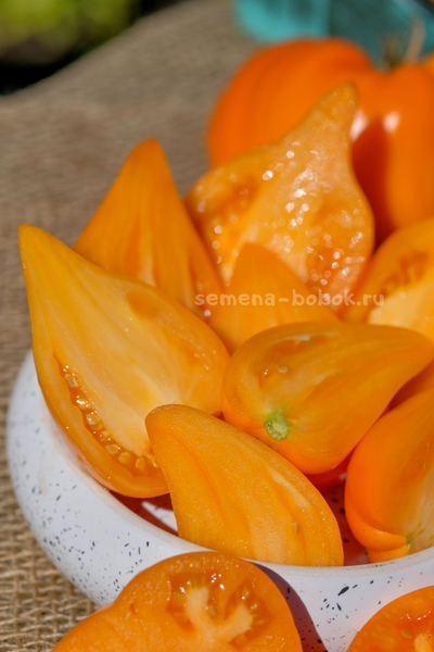 Томат Заилийский Алатау Желтый, 10 шт