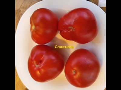 Томат Сластена