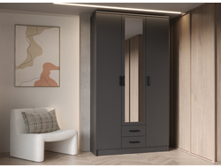 ЛДСП Шкаф ТРИО Графит