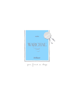 Warchal Brilliant Vintage violin SET
