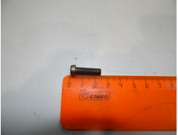 Болт М 6 (для моторов серии Д)