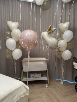 Набор шаров на выписку Папина принцесса