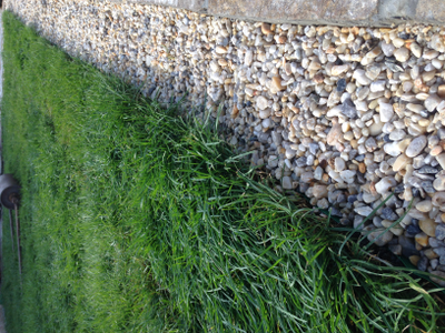 Галька кварцевая