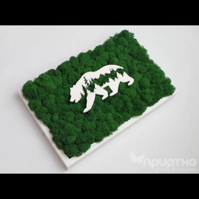 ЖИВАЯ ЭКО-КАРТИНА 1039