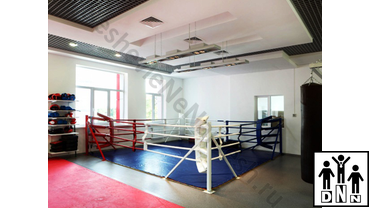 купить боксерский ринг