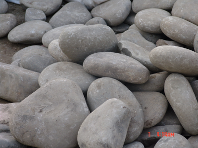 Голыш речной (Дагестан)