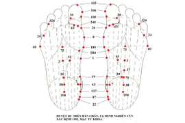 ТОПОГРАФИЯ БИОЛОГИЧЕСКИ АКТИВНЫХ ТОЧЕК НА СТОПАХ