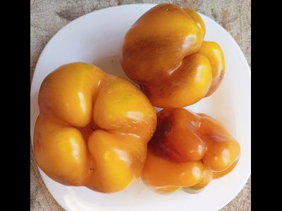 Перец сладкий Млечный путь (Milky Way)