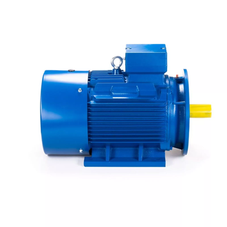 Электродвигатель АИС 180L4 (22 кВт) IM B35