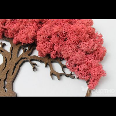 ЖИВАЯ ЭКО-КАРТИНА 1026