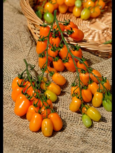 Томат Сан-Марцано Иса, 10 шт