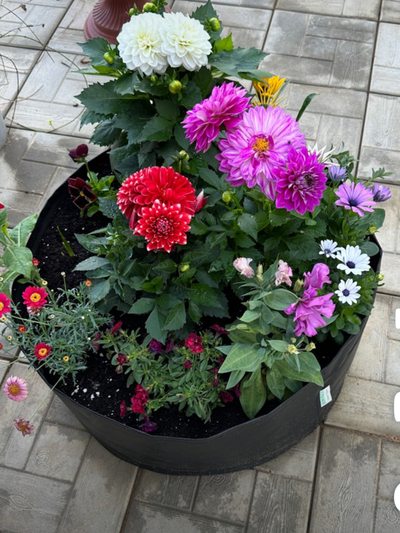 Клумба большая 220 л. Умная тканевая клумба Гроубэг