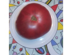 Томат Гари о Сена (Gary'O Sena)