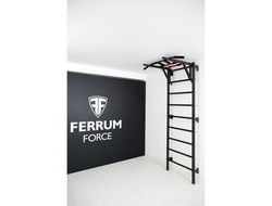 Шведская стенка Ferrum Force FR1 купить в Воронеже