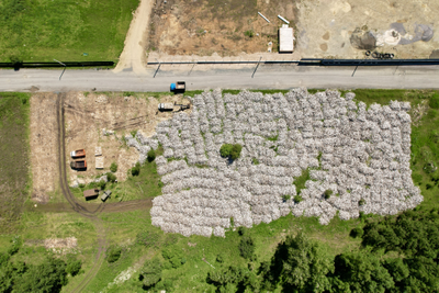 Дрова березовые колотые ГАЗель 2,5 м3