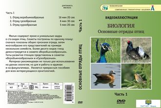 Основные отряды птиц. Часть 1  (3 сюжета, 28 мин), DVD-диск