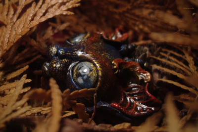 "Шуршащий Вихрябрррь". Коллекционная брошь с котом в стиле фэнтези