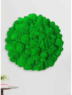 ЖИВАЯ ЭКО-КАРТИНА 1042