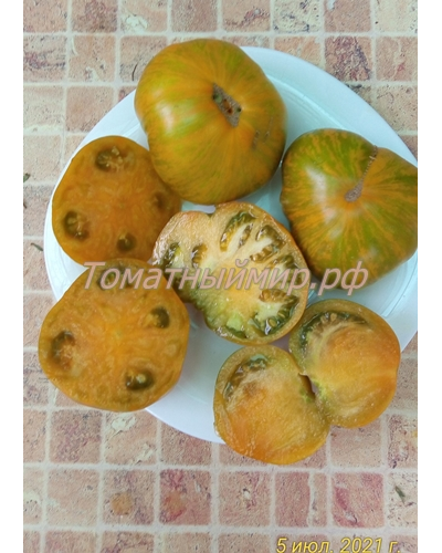 Томат Kozula 179 (Zebra Zolta /Volta , Польша)