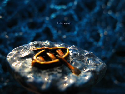 По морю лодочка плыла... Морское кольцо из полимерной глины