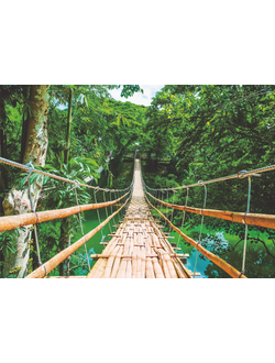 Фотообои Симфония "Бамбуковый мост"