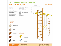 Детский спортивный комплекс КАРУСЕЛЬ Д260 купить в Воронеже