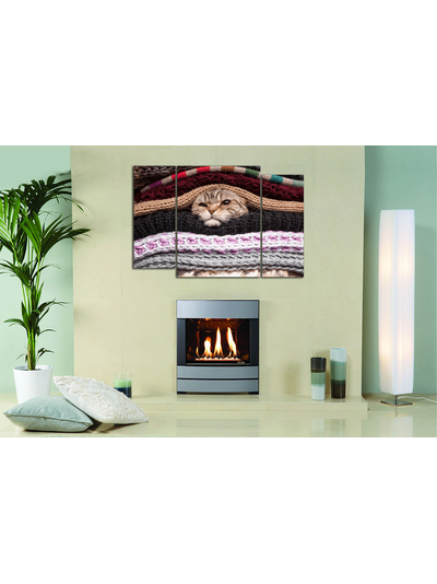 Модульная картина "Кот в тепле"