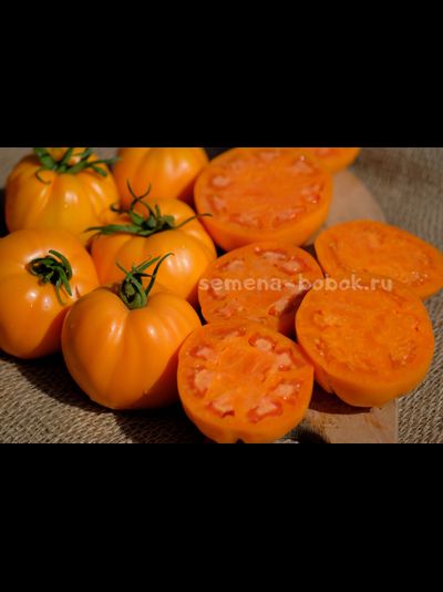 Томат Regalo Dall Italian (Подарок из Италии), 10 шт