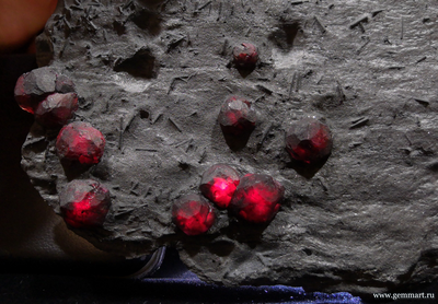 Гранат альмандин-пироповой серии с кристаллами дравита (разн. турмалина) в графитовом сланце. Red Embers mine. USA. 160*120*15мм. Редкость! (ААА)