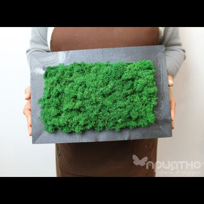 ЖИВАЯ ЭКО-КАРТИНА 1050