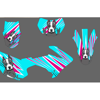 наклейки Питбайк SSSR Atom, Wels, JMC, Мotoland Apex CRF, BSE PH мотоцикл